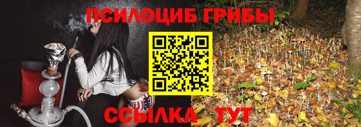 Тобольск  Галлюциногенные грибы прущие грибы  где найти наркотики  Вход с VPN 